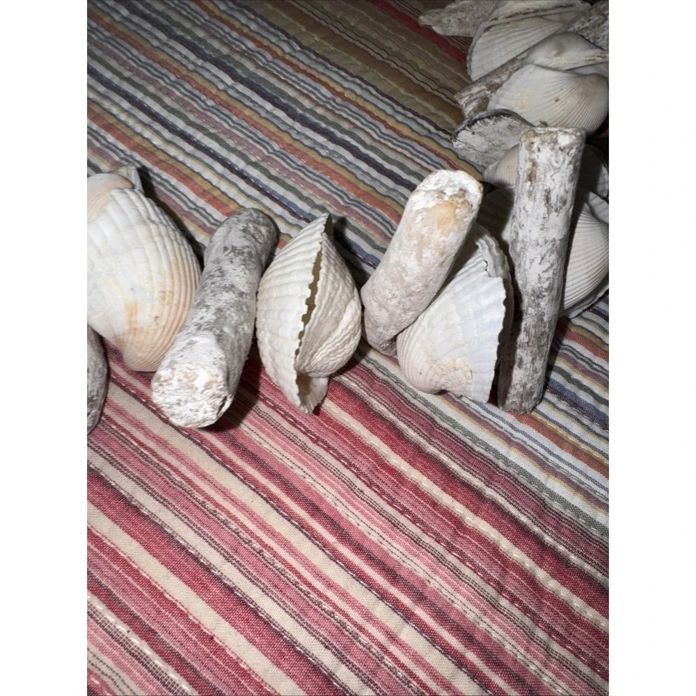 Vtg Painted Driftwood (Faux Maybe) Shell Garland Beachhouse Cottage Lake Bay